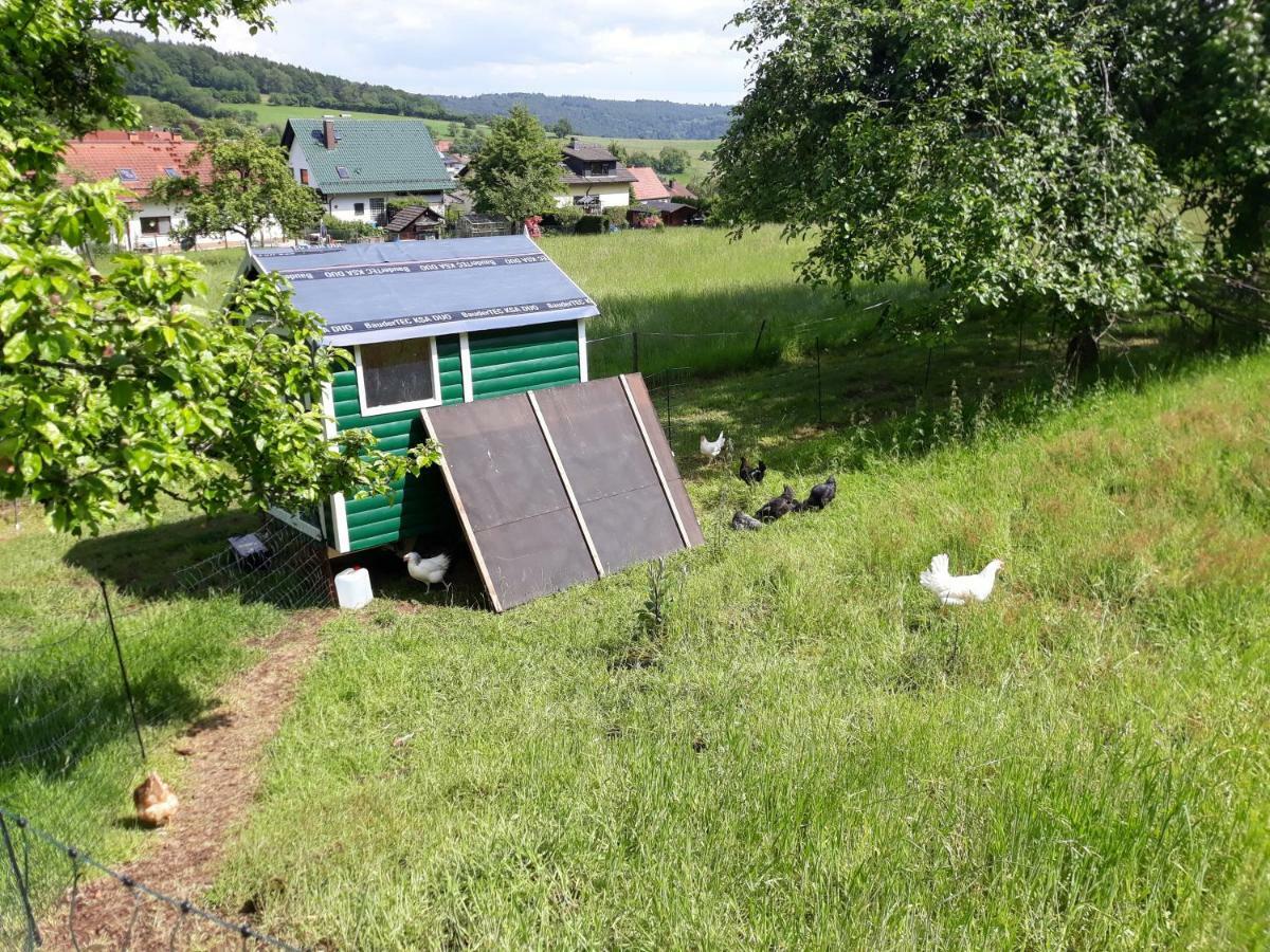 Fewo Am Neckarsteig Neckarsteinach Extérieur photo